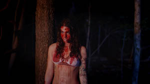 All Light Will End All Light Will End